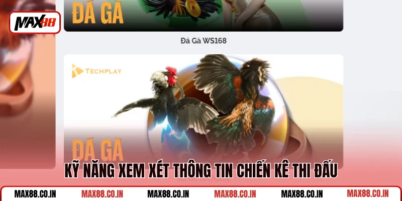 Đá Gà MAX88 4 Kỹ năng xem xét thông tin chiến kê thi đấu