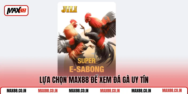 Đá Gà MAX88 1 Lựa chọn MAX88 để xem đá gà uy tín